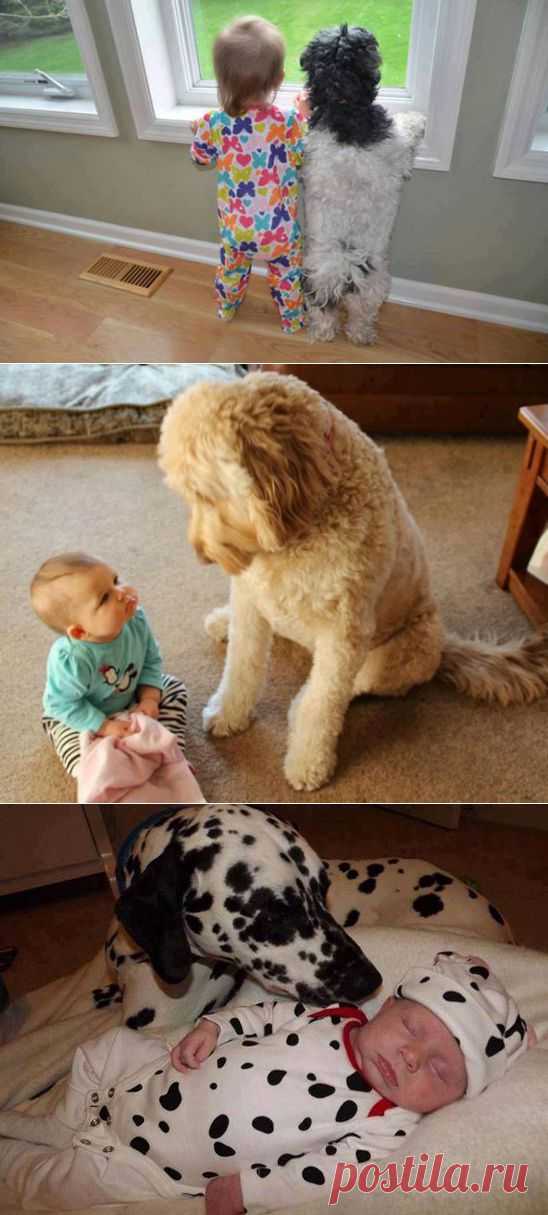 22 Photos That Prove Why Babies Need Pets. Number 17 Especially