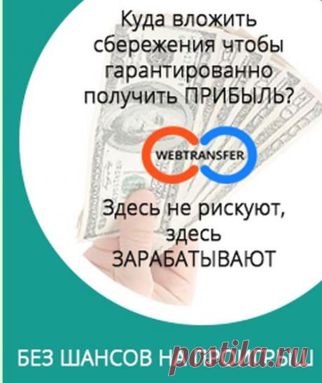 Из всех проектов, которые мне попадались, Webtransfer оказался реальным, здесь можно получить бонус $50, и начать свой бизнес, не вкладывая своих денег.