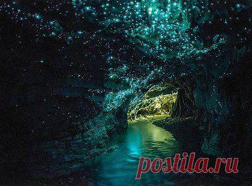 Люминесцентные светлячки населяют пещеры Вайтомо в Новой Зеландии, очаровывая посетителей невероятной красоты излучением.