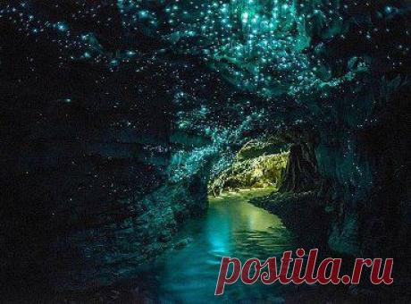 Люминесцентные светлячки населяют пещеры Вайтомо в Новой Зеландии, очаровывая посетителей невероятной красоты излучением.