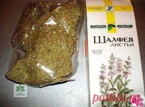 Шалфей против старения