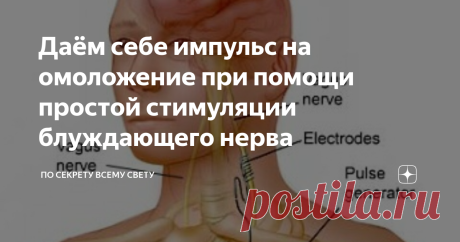 Даём себе импульс на омоложение при помощи простой стимуляции блуждающего нерва https://www.afsani.org/wp-content/uploads/2018/05/skin-rejuvenation.jpg
Для начала информация :  Блуждающий нерв идет от мозга к брюшной полости, содержит двигательные, чувствительные и вегетативные волокна, посредством которых обеспечивает связь с центральной нервной системой практически всех органов и систем нашего организма: мягкого нёба, глотки, гортани, поперечно-полосатых мышц пищевода, гладк