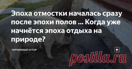 Эпоха отмостки началась сразу после эпохи полов ... Когда уже начнётся эпоха отдыха на природе?