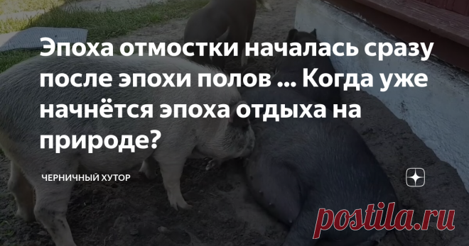Эпоха отмостки началась сразу после эпохи полов ... Когда уже начнётся эпоха отдыха на природе?