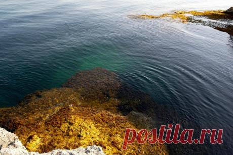 (50) Одноклассники