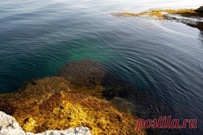 (50) Одноклассники