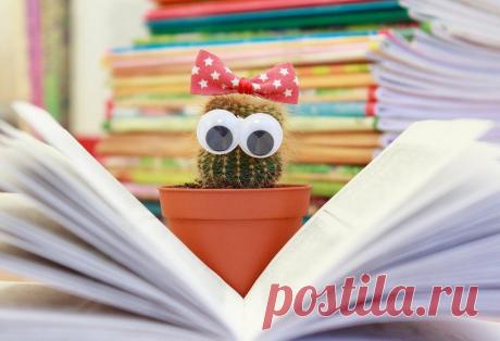 Почему «стеклянный, оловянный, деревянный» — это исключения? Оказывается, от нас кое-что скрывают | Грамотность | Яндекс Дзен