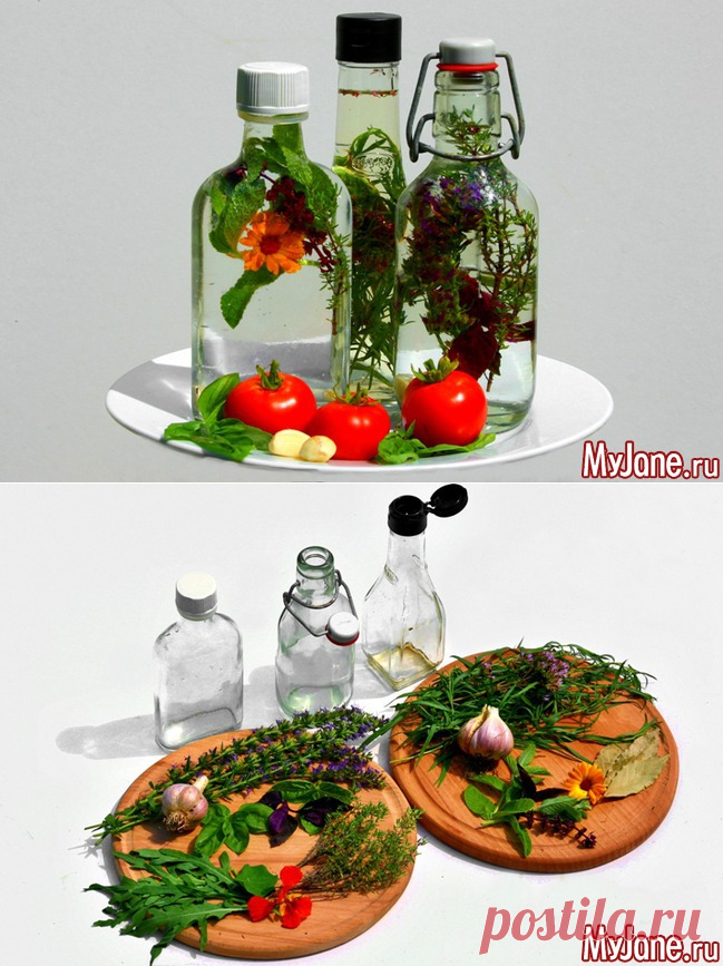 Готовим пряный уксус - уксус, ароматический уксус, пряные травы, полезные продукты, кулинария, здоровье, домашине заготовки