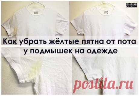 Как убрать жёлтые пятна от пота у подмышек на одежде

Чтобы убрать пятно от пота, вам нужно взять 1 ч.л. жидкого средства для мытья посуды, 4 ст.л. перекиси водорода и 2 ст.л. пищевой соды.

Нанести смесь на пятно, активно потереть щёткой для одежды, оставить на пару часов, затем постирать, как обычно.
•••