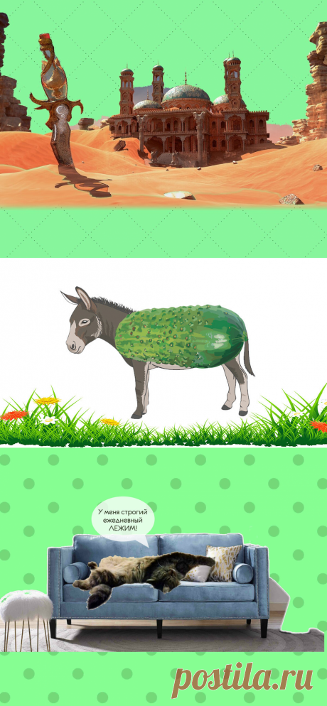 5 обыденных слов из персидского языка, которые использует в речи каждый русский | Беречь речь | Яндекс Дзен