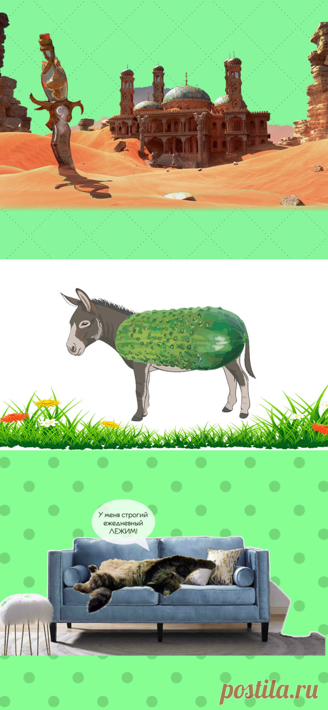 5 обыденных слов из персидского языка, которые использует в речи каждый русский | Беречь речь | Яндекс Дзен