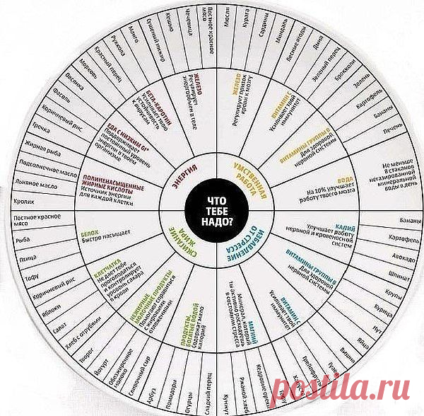 Шпаргалка для питания