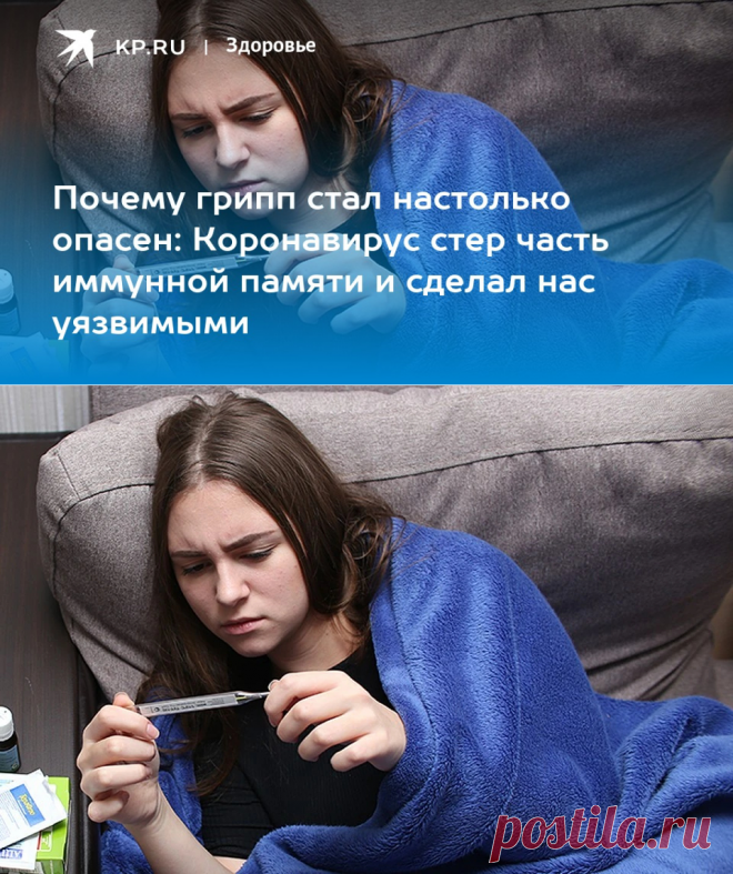 6-12-22-Почему грипп стал настолько опасен: Коронавирус СТЕР часть ИММУННОЙ ПАМЯТИ и сделал нас уязвимыми - KP.RU