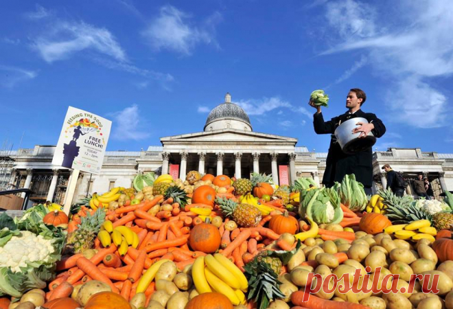 Внимание ! Акция «Тысяча килограммов» в Праге. | Чехия: туризм жизнь недвижимость иммиграция