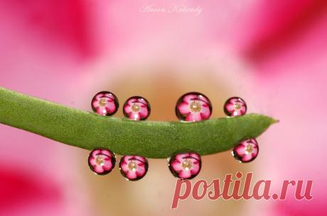 YouExif - Primary Colors........