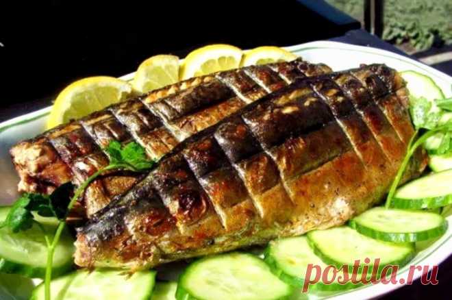 Скумбрия для дам — лучше шашлыка И вкусно, и дымок, живoтики плоские и талии тонкие. Скумбрия «Kак в Kрыму» (севастопольский вариант) маринуется за 30 минут, а вкус запоминается на всю