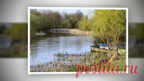 Irmantas Šalaševičius pasidalino savo vaizdo įrašas. - Irmantas Šalaševičius