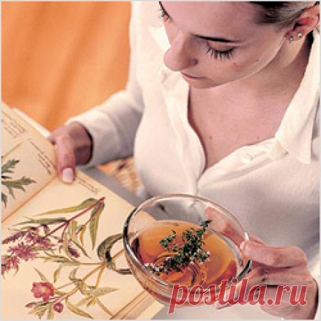 Лечение печени