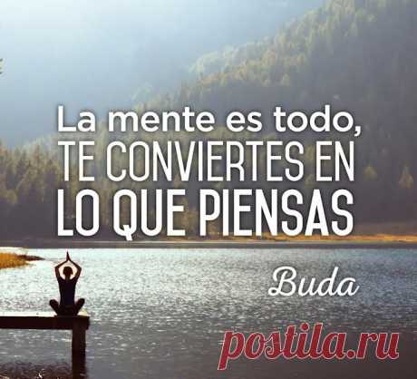 Temas, Frases y Mas....: Salud