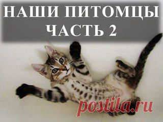 Фотографии B e a u t é | Красота. Искусство. Вдохновение | 26 альбомов