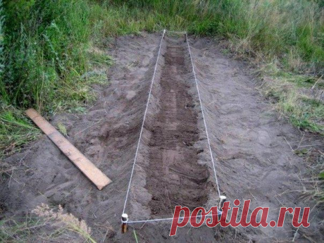 9 СОВЕТОВ ПО ПОДГОТОВКЕ РАННЕЙ ОВОЩНОЙ ГРЯДКИ