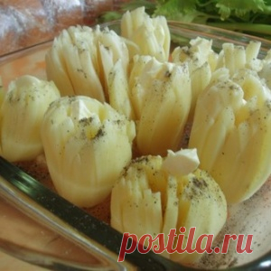 Картофель 
