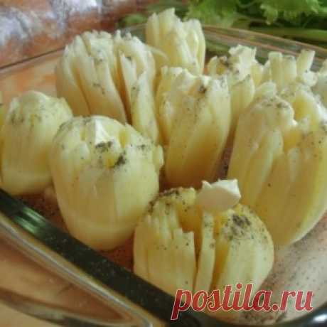 Картофель &quot;дофинэ&quot;, запеченный под сыром