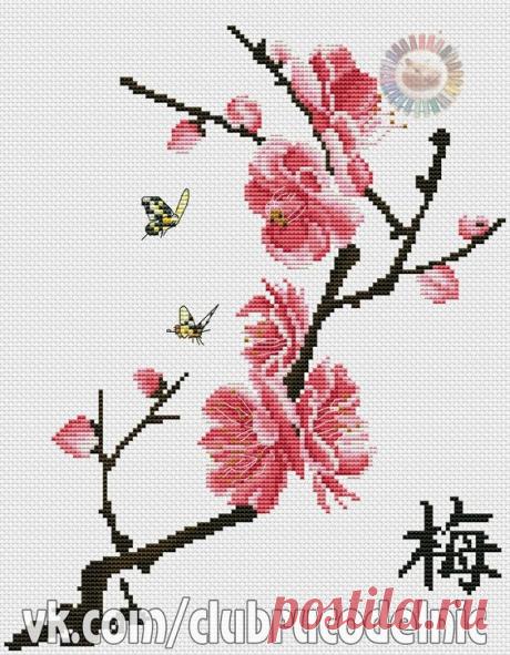 (1856) Pinterest