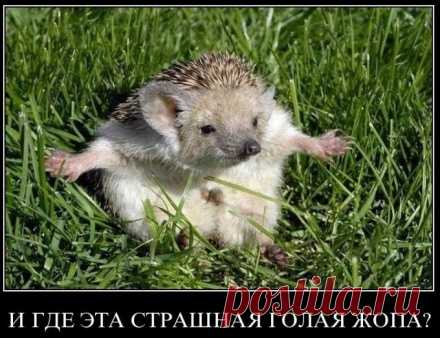 Савченко арестована. Из какой страны и куда теперь уедет Татьяна Лазарева? Волнуюсь