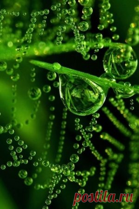 stunning photography Search on Indulgy.com