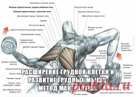Расширение грудной клетки и развитие г / Спорт Сильных!