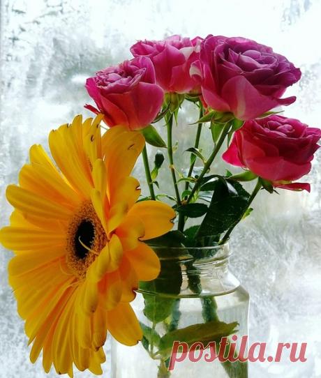 КАКОЙ СЕГОДНЯ ПРАЗДНИК? 11 Февраля 2020 г. – Вторник • День волшебных сказок на ночь • День рождения парохода211 лет • Проводы наличности • Всемирный день больного (World Day of the Sick)27 лет • Международный день женщин и девочек в науке (International Day of Women and Girls in Science)4 года • Собор Екатеринбургских святых • Европейский день номера экстренного вызова (European 112 Day) • День «Заведи себе друга» (National Make a Friend Day) - США • День гитары (National Guitar Day) - США •…