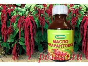Амарантовое масло лечебные свойства | Нетрадиционные методы лечения