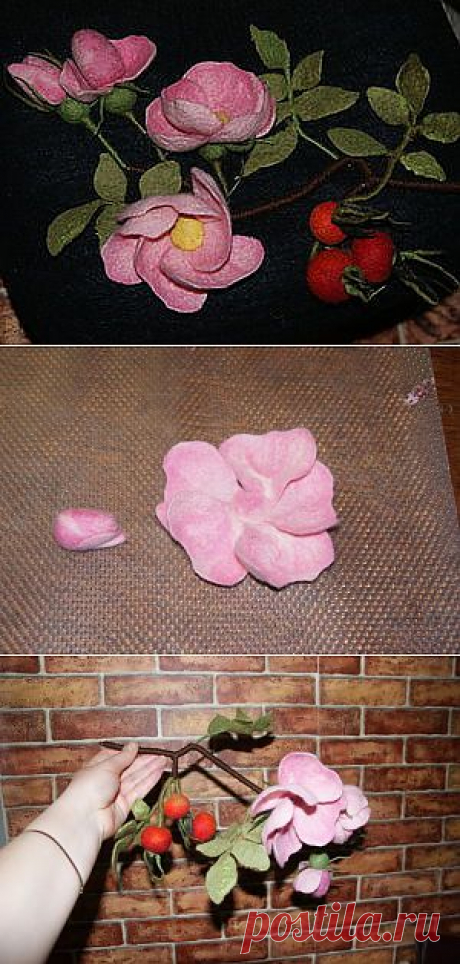 Ветка Шиповника.