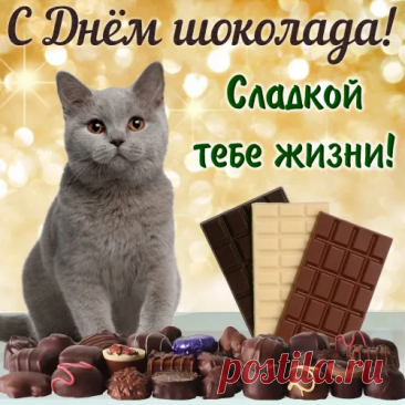 Сегодня самый сладкий
И самый вкусный день.
Мне в праздник шоколада
Поздравить вас не лень.