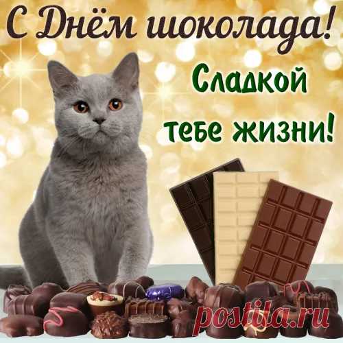 Сегодня самый сладкий
И самый вкусный день.
Мне в праздник шоколада
Поздравить вас не лень.