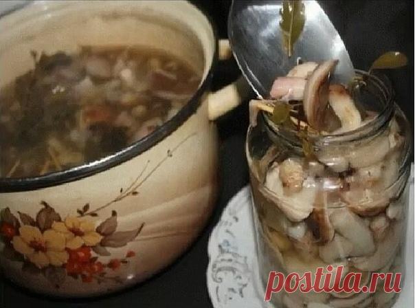 МАРИНАД ДЛЯ ГРИБОВ (Опят, маслят, белых и т. д. )

Такие грибочки даже дети будут кушать ложками! Маринад супер удачный!

Ингредиенты:
Показать полностью…