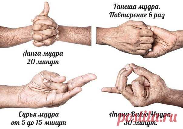Мудры для здорового сердца.

1. Линга Мудра. Практикуйте ее натощак не менее 20 минут. Сядьте в позу лотосы, вытяните руки вперед, сцепите пальцы в замок. Поднимите большой палец левой руки к потолку. Используя большой и указательный пальцы правой руки оплетите большой палец левой руки.
Вдохните и выдохните.

2. Ганеша Мудра. Сядьте в падмасану. Вытяните руки и положите на бедра. Поднимите обе руки и держите их на уровне груди у сердца.
Ладонь левой руки должна быть обраще...