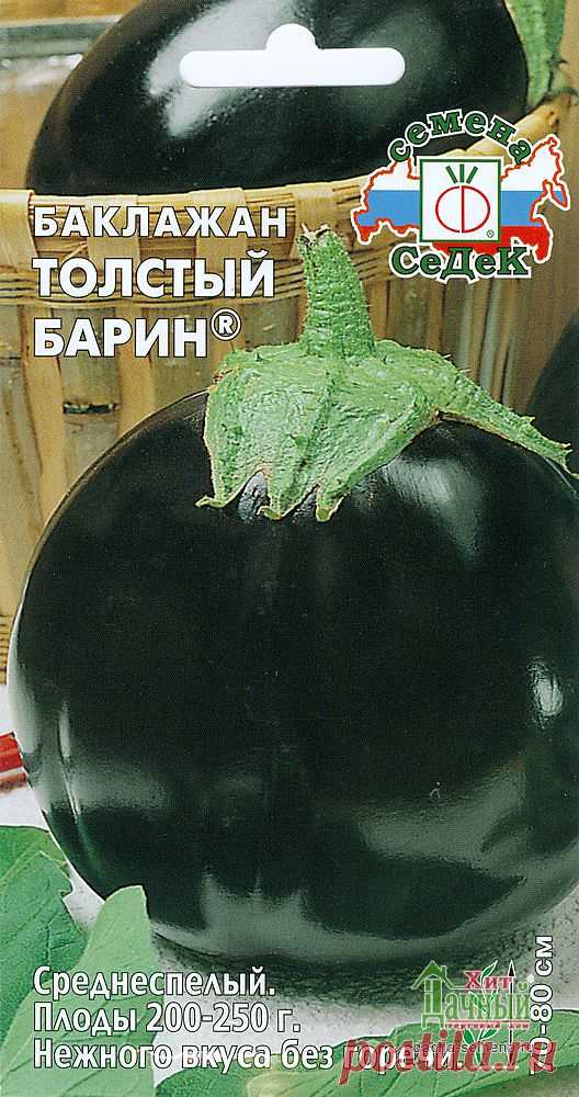 Баклажан толстый барин Огород без хлопот - информационный сайт для дачников, садоводов и огородников.