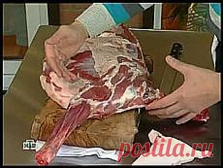 Сталик Ханкишиев: | Рецепты простой и вкусной еды на Постиле