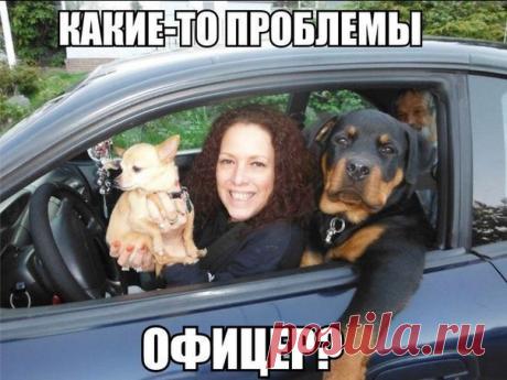 Лилия Советкина | ВКонтакте