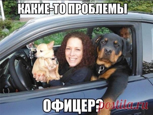 Лилия Советкина | ВКонтакте