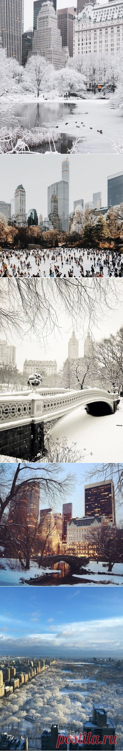 Central Park in the snow