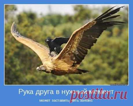 Как избавиться от ошибок начального этапа построения организации?

  Как научиться создавать большие организации и зарабатывать реальные доходы от сети?

 Какие Главные ошибки допускаются чаще всего дистрибьюторами?

 Как замечать эти ошибки и избегать их?

 Какие три основные из них нужно в первую очередь выявлять?

 Какие двe из них нужно знать почти наизусть?

 Как не попадать в &quot;ловушку&quot; собственных мыслей?