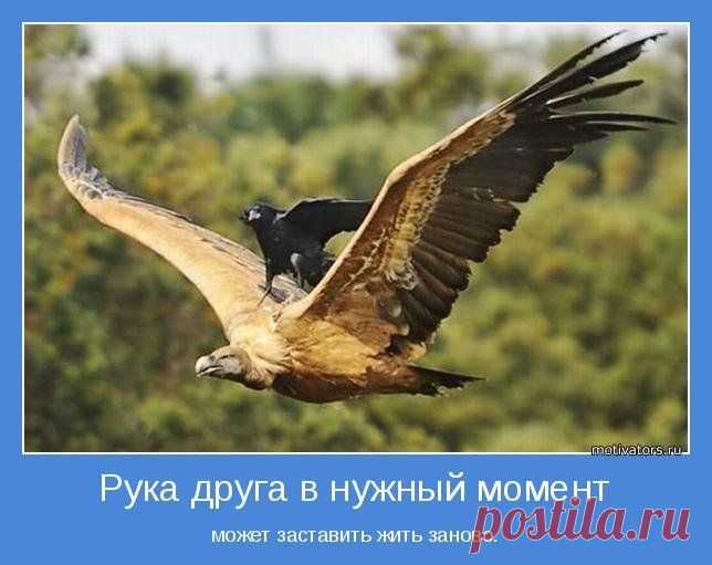 Как избавиться от ошибок начального этапа построения организации?

  Как научиться создавать большие организации и зарабатывать реальные доходы от сети?

 Какие Главные ошибки допускаются чаще всего дистрибьюторами?

 Как замечать эти ошибки и избегать их?

 Какие три основные из них нужно в первую очередь выявлять?

 Какие двe из них нужно знать почти наизусть?

 Как не попадать в "ловушку" собственных мыслей?