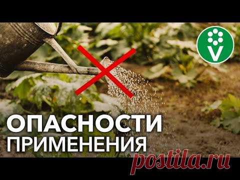 СТОЙТЕ! НЕ ВНОСИТЕ МОНОФОСФАТ КАЛИЯ, пока не узнаете этот секрет!