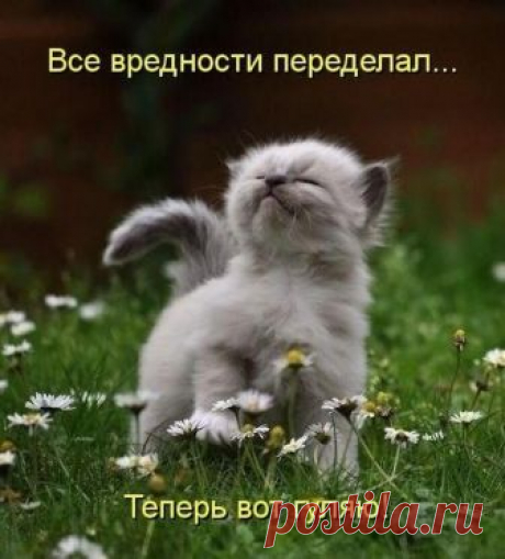 18 уморительных приколов для отличного настроения. Заряд позитива на весь день