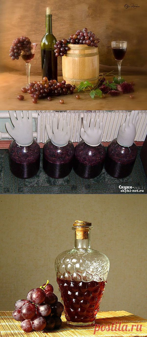 Вино из винограда в домашних условиях | postila.ru/post/category/shopping