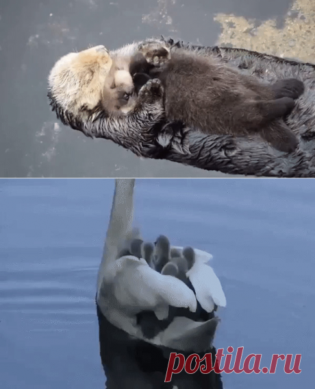 Никто вас не будет любить сильнее, .....чем ваша мама....))))