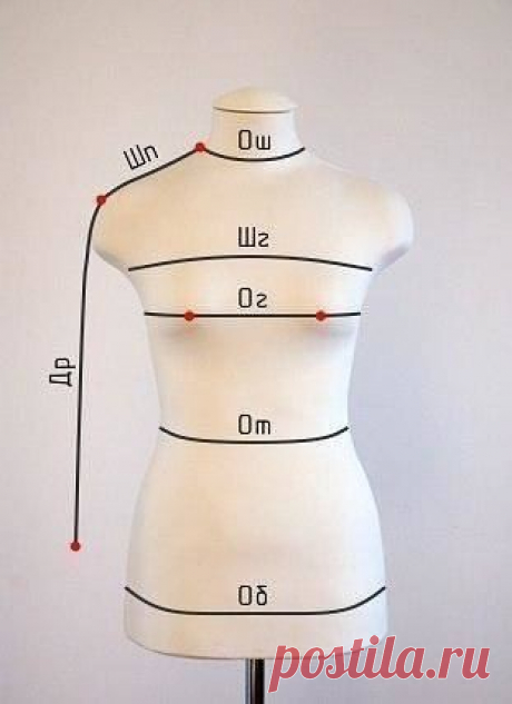 ​Снимаем мерки правильно: основы